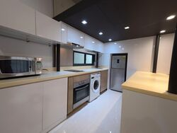 Boathouse Residences (D19), Condominium #565667791